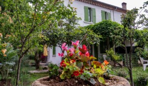 Façade du gite et fleurs, Villa Brioude 2 à Meyras, Neyrac-les-Bains
