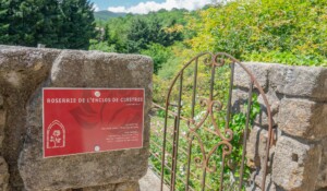 Rosengarten des Clastres-Geheges_Montpezat-sous-Bauzon