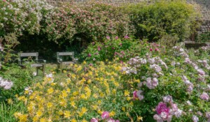 Kostenloser Besuch : Der Rosengarten der Clastres Priory_Montpezat-sous-Bauzon