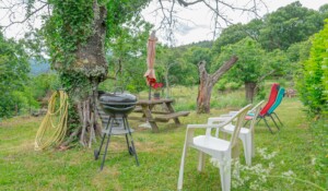 DSC06992 - espace barbecue collectif