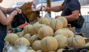 Marché de Meyras