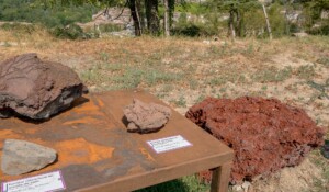 Gros plan lithothèque des jardins de la maison du parc_Jaujac
