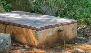 Nahaufnahme der Quelle „Peschier“ im Regionalpark „Monts d'Ardèche“ in Jaujac