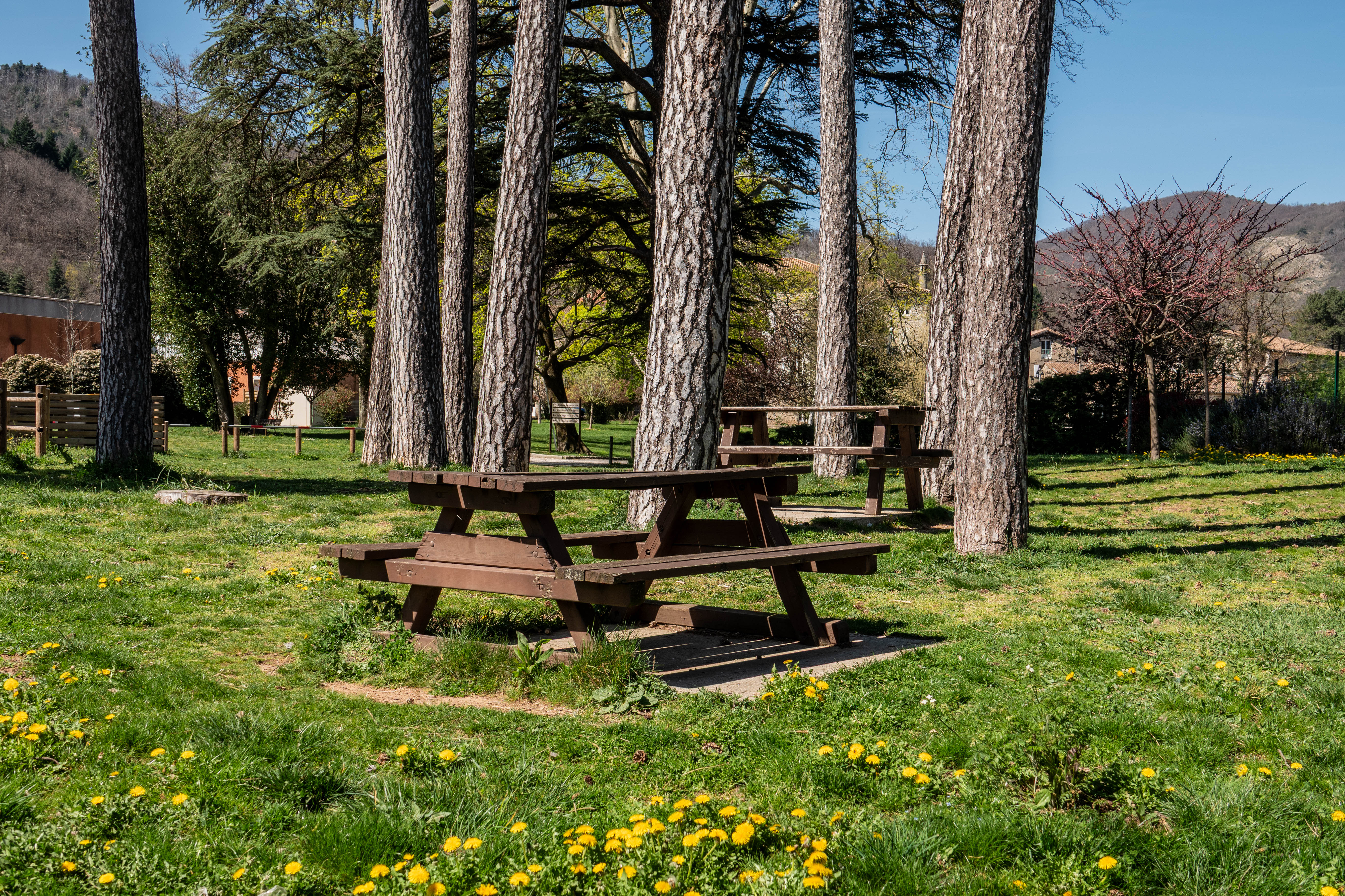 Aire de pique-nique du Parc du Château de Blou à Thueyts