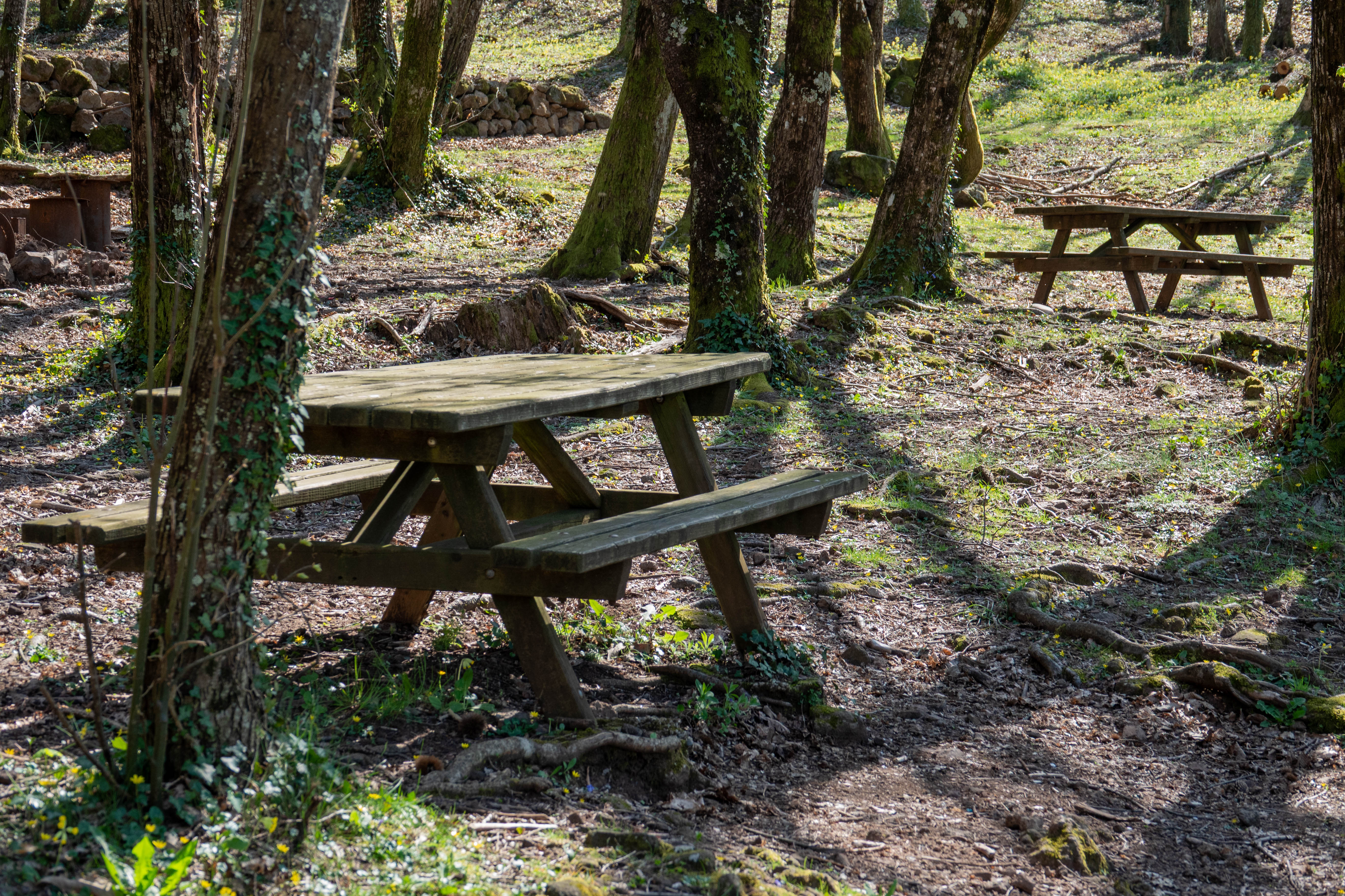 Aire de pique-nique - Le Peschier à Jaujac