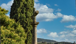 Verein Les amis de Nieigles