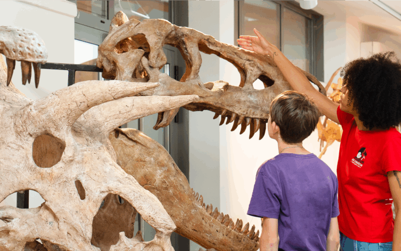 Muséum de l'Ardèche: fossils and dinosaurs