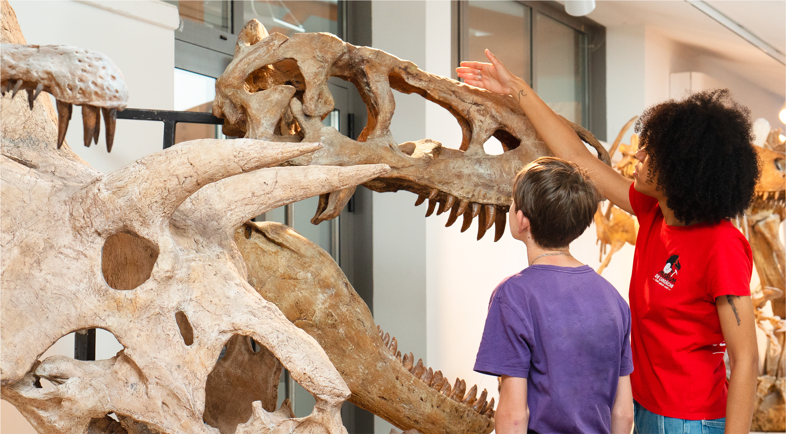 Muséum de l'Ardèche: fossils and dinosaurs
