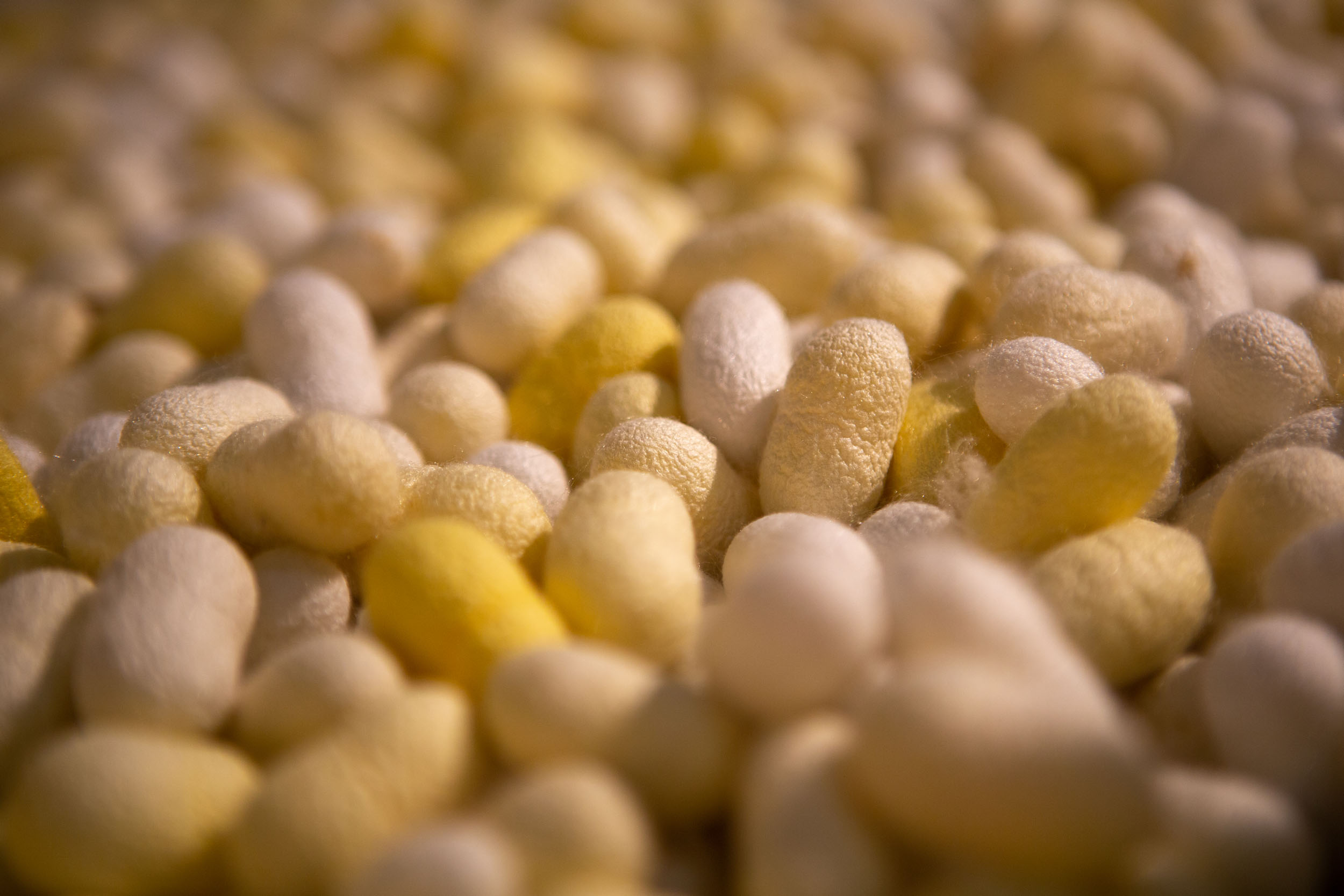 Museum der Seidenfabrik_Chirols