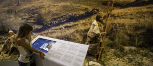 Grotte Chauvet 2 - Ardèche