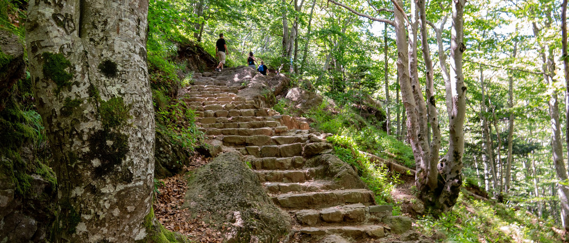 Escalier du Ray Pic