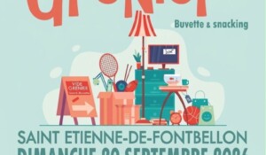Vide grenier