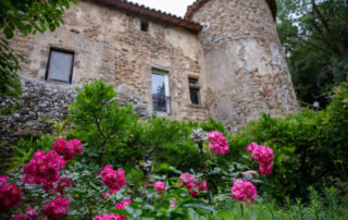 Fabras - Château du Pin - rosiers en fleurs - ©sourcesvolcans