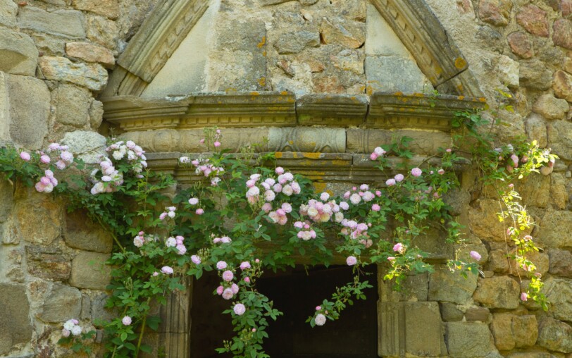 Besuchen Sie die Gärten: Château du Pin