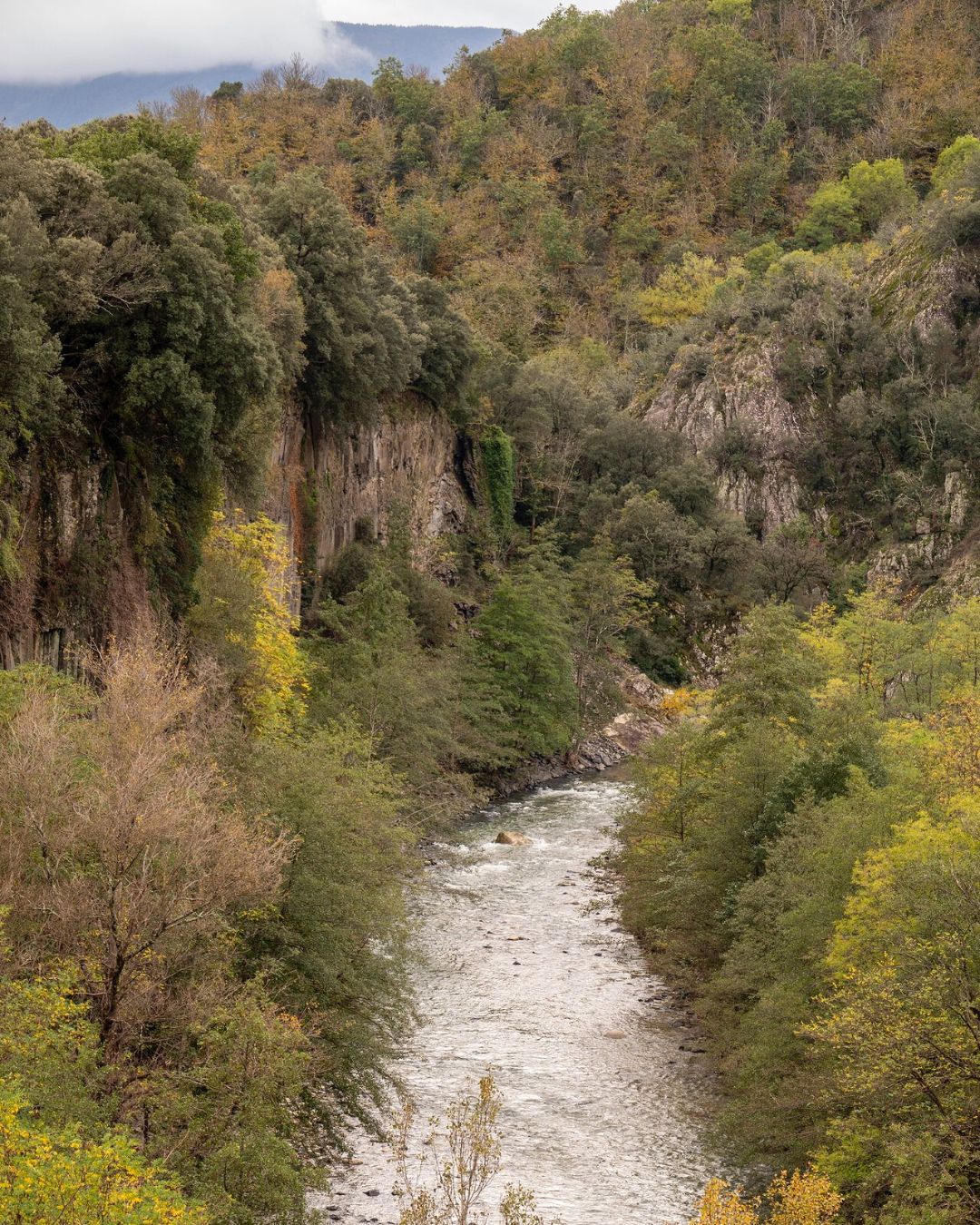 fabras-coulee-lignon-automne-formatig-sourcesetvolcans