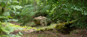 œuvre de Martin Diersé - citrouille- dans les jardins du château du Pin à Fabras