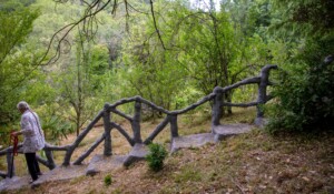 œuvre de Martin Diersé - grand escalier - dans les jardins du château du Pin à Fabras