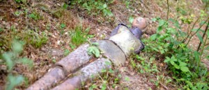 Mme Diersé Martine_Fabras