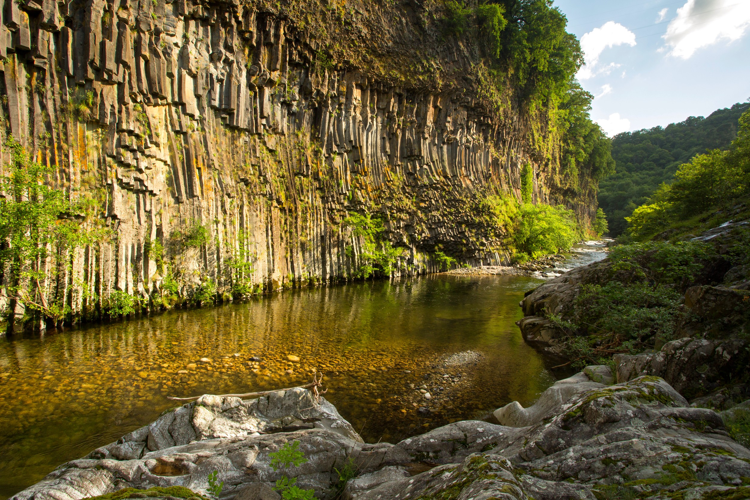 Fabras - Orgues basaltiques dans la vallée du Lignon-3 ©S.BUGNON