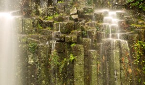 Fabras - Orgues basaltiques ©S.BUGNON