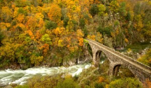 Hiking in Fabras : Around Chanareille-les Hivières