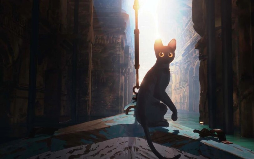 Cinéma sous les étoiles : Flow