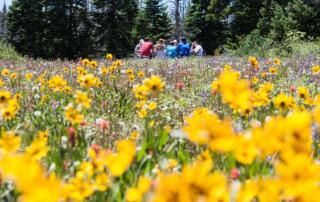 Pique-nique au Peschier - ©pixabay