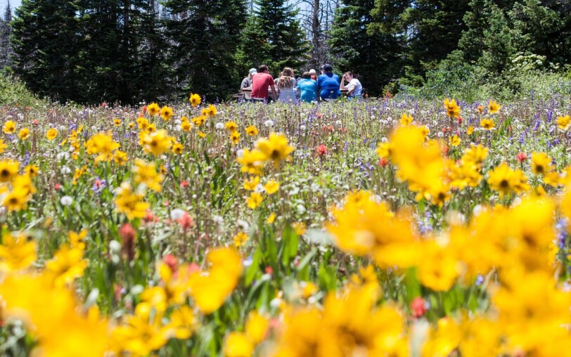 Pique-nique au Peschier