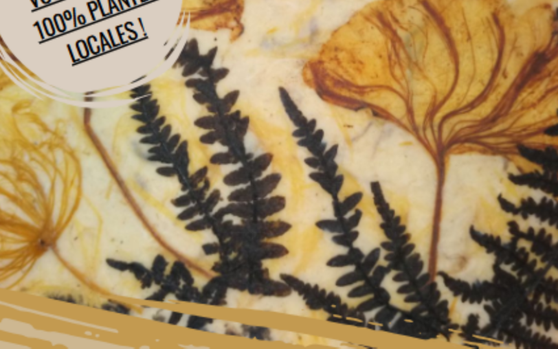 Atelier papier végétal_Prades
