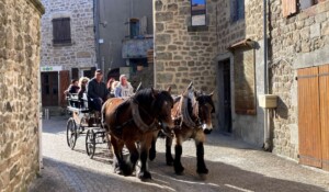 Saint Blaise Fair_Meyras