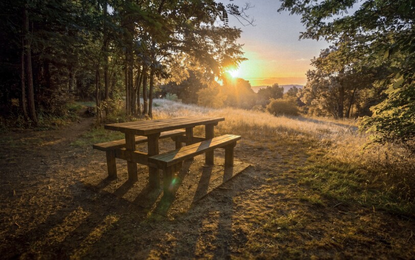 Fôret communale de Roiffieux_Roiffieux
