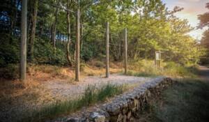 Fôret communale de Roiffieux_Roiffieux