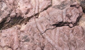 Géosite des Fourniols_Largentière