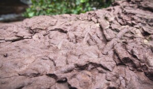 Géosite des Fourniols_Largentière