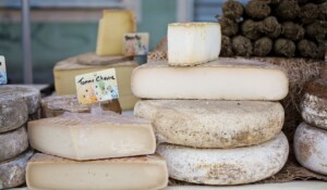 Cheese