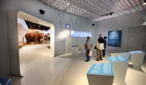 Galerie de l'Aurignacien - Grotte Chauvet 2 Ardèche