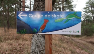 Géosite du Bois du Four