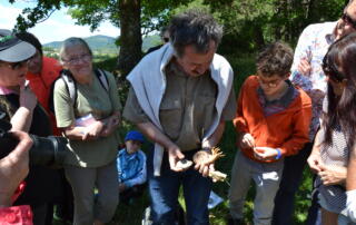 Géosite du Bois du Four - © Nicolas Klee