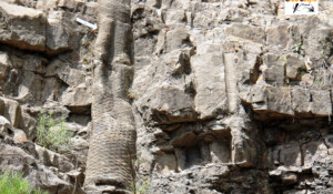 Forêt fossile de Champclauson