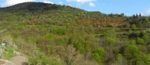 Vue depuis le gîte à l'automne.