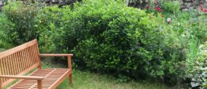 Gîte France - le séjour