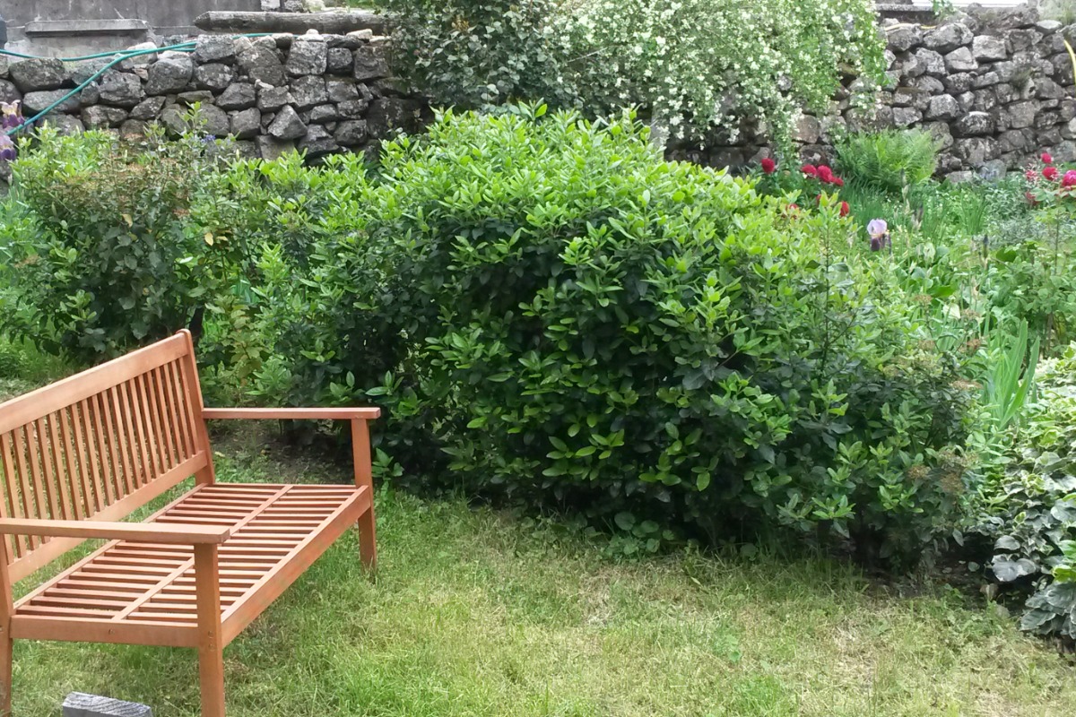 Gîte France - le séjour