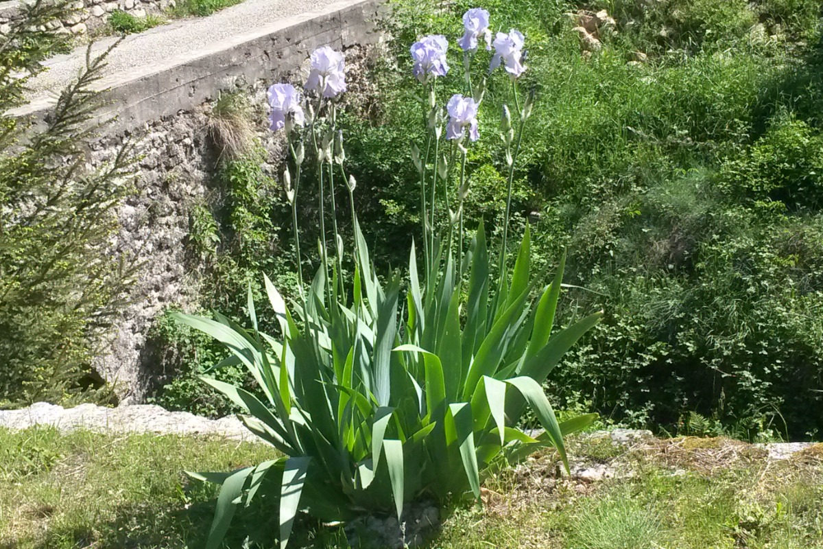 Gîte France - la chambre