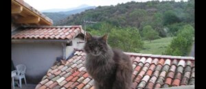 une vue