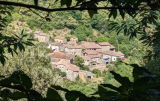 Gîte n°4 Jade Ziggy - ©Clévacances