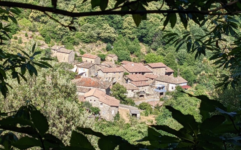 Gîte n°4 Jade Ziggy