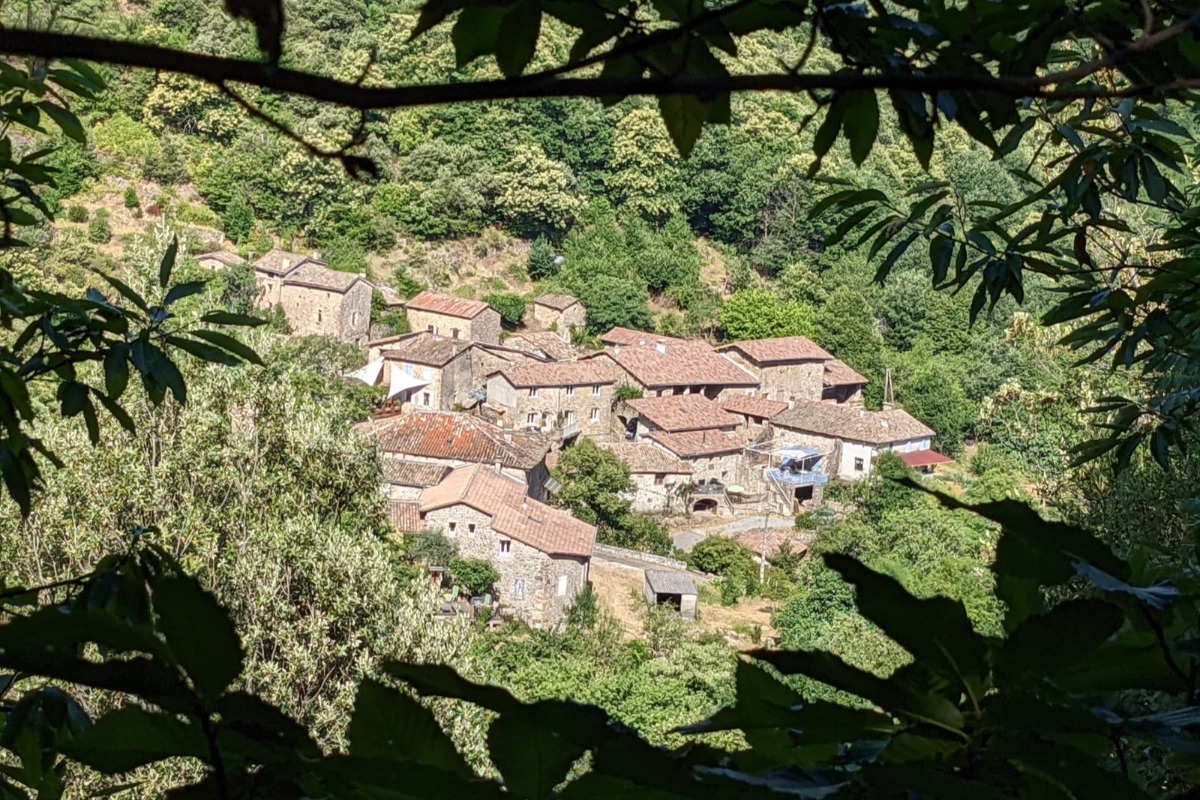 Gîte n°4 Jade Ziggy