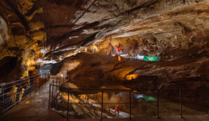Grotte de la Cocalière