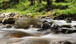 Le massif Mézenc-Gerbier_Borée
