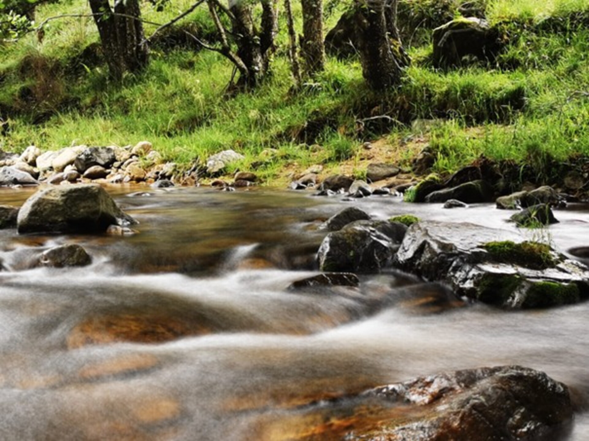 Le massif Mézenc-Gerbier_Borée